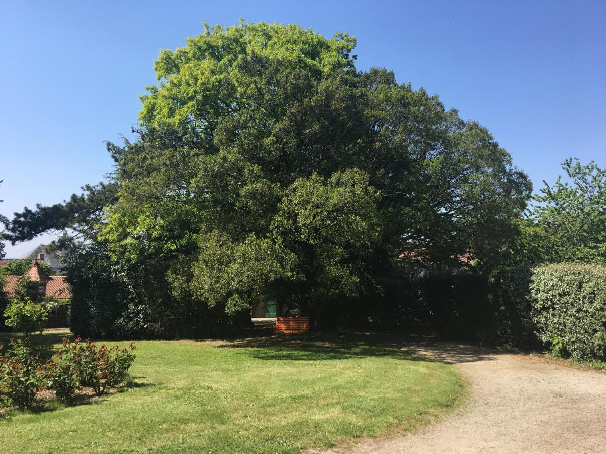 La Gaubretiere Le Chateau Des Tourelles En Vendee المظهر الخارجي الصورة